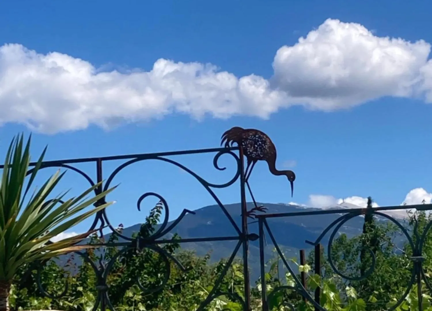 Vakantiehuis La Respelidane Villa Caromb Frankrijk